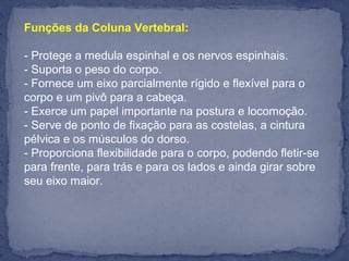 Funções da Coluna Vertebral:
- Protege a medula espinhal e os nervos espinhais.
- Suporta o peso do corpo.
- Fornece um eixo parcialmente rígido e flexível para o
corpo e um pivô para a cabeça.
- Exerce um papel importante na postura e locomoção.
- Serve de ponto de fixação para as costelas, a cintura
pélvica e os músculos do dorso.
- Proporciona flexibilidade para o corpo, podendo fletir-se
para frente, para trás e para os lados e ainda girar sobre
seu eixo maior.
 