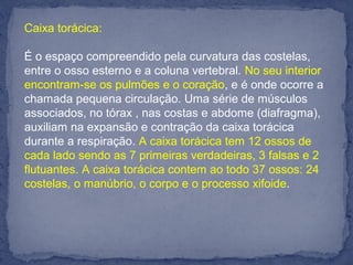 Caixa torácica:
É o espaço compreendido pela curvatura das costelas,
entre o osso esterno e a coluna vertebral. No seu interior
encontram-se os pulmões e o coração, e é onde ocorre a
chamada pequena circulação. Uma série de músculos
associados, no tórax , nas costas e abdome (diafragma),
auxiliam na expansão e contração da caixa torácica
durante a respiração. A caixa torácica tem 12 ossos de
cada lado sendo as 7 primeiras verdadeiras, 3 falsas e 2
flutuantes. A caixa torácica contem ao todo 37 ossos: 24
costelas, o manúbrio, o corpo e o processo xifoide.
 