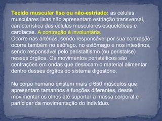 Tecido muscular liso ou não-estriado: as células 
musculares lisas não apresentam estriação transversal, 
característica das células musculares esqueléticas e 
cardíacas. A contração é involuntária.
Ocorre nas artérias, sendo responsável por sua contração; 
ocorre também no esôfago, no estômago e nos intestinos, 
sendo responsável pelo peristaltismo (ou peristalse) 
nesses órgãos. Os movimentos peristálticos são 
contrações em ondas que deslocam o material alimentar 
dentro desses órgãos do sistema digestório.
No corpo humano existem mais d 650 músculos que 
apresentam tamanhos e funções diferentes, desde 
movimentar os olhos até suportar a massa corporal e 
participar da movimentação do indivíduo.
 
 