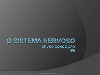 Bruno Conceição Turma 9º 1ª Nº 5   1
 