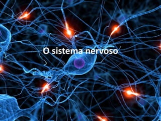 O sistema nervoso
 