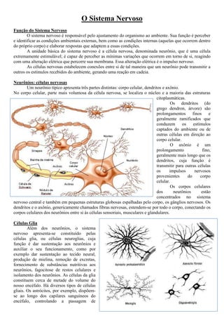 O Sistema Nervoso
Função do Sistema Nervoso
O sistema nervoso é responsável pelo ajustamento do organismo ao ambiente. Sua função é perceber
e identificar as condições ambientais externas, bem como as condições internas (aquelas que ocorrem dentro
do próprio corpo) e elaborar respostas que adaptem a essas condições.
A unidade básica do sistema nervoso é a célula nervosa, denominada neurônio, que é uma célula
extremamente estimulável; é capaz de perceber as mínimas variações que ocorrem em torno de si, reagindo
com uma alteração elétrica que percorre sua membrana. Essa alteração elétrica é o impulso nervoso.
As células nervosas estabelecem conexões entre si de tal maneira que um neurônio pode transmitir a
outros os estímulos recebidos do ambiente, gerando uma reação em cadeia.
Neurônios: células nervosas
Um neurônio típico apresenta três partes distintas: corpo celular, dendritos e axônio.
No corpo celular, parte mais volumosa da célula nervosa, se localiza o núcleo e a maioria das estruturas
citoplasmáticas.
Os dendritos (do
grego dendron, árvore) são
prolongamentos finos e
geralmente ramificados que
conduzem os estímulos
captados do ambiente ou de
outras células em direção ao
corpo celular.
O axônio é um
prolongamento fino,
geralmente mais longo que os
dendritos, cuja função é
transmitir para outras células
os impulsos nervosos
provenientes do corpo
celular.
Os corpos celulares
dos neurônios estão
concentrados no sistema
nervoso central e também em pequenas estruturas globosas espalhadas pelo corpo, os gânglios nervosos. Os
dendritos e o axônio, genericamente chamados fibras nervosas, estendem-se por todo o corpo, conectando os
corpos celulares dos neurônios entre si às células sensoriais, musculares e glandulares.
Células Glia
Além dos neurônios, o sistema
nervoso apresenta-se constituído pelas
células glia, ou células neuroglias, cuja
função é dar sustentação aos neurônios e
auxiliar o seu funcionamento, como por
exemplo dar sustentação ao tecido neural,
produção de mielina, remoção de excretas,
fornecimento de substâncias nutritivas aos
neurônios, fagocitose de restos celulares e
isolamento dos neurônios. As células da glia
constituem cerca de metade do volume do
nosso encéfalo. Há diversos tipos de células
gliais. Os astrócitos, por exemplo, dispõem-
se ao longo dos capilares sanguíneos do
encéfalo, controlando a passagem de
 