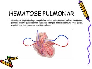HEMATOSE PULMONAR Quando o  ar inspirado chega aos pulmões , mais propriamente aos  alvéolos pulmonares , parte do oxigénio que ele contém passa para o  sangue,  fazendo assim uma troca gasosa. A esta troca dá-se o nome de  hematose pulmunar. 