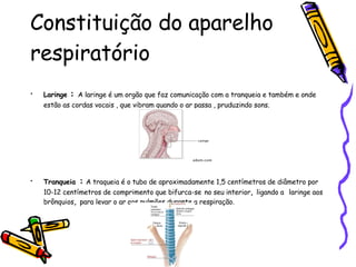 Constituição do aparelho  respiratório Laringe  :  A laringe é um orgão que faz comunicação com a tranqueia e também e onde estão as cordas vocais , que vibram quando o ar passa , pruduzindo sons. Tranqueia  :   A traqueia é o tubo de aproximadamente 1,5 centímetros de diâmetro por 10-12 centímetros de comprimento que bifurca-se   no seu interior ,  ligando a   laringe aos brônquios ,  para levar o ar aos pulmões durante a respiração. 