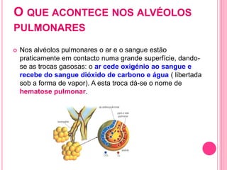 O QUE ACONTECE NOS ALVÉOLOS
PULMONARES
 Nos alvéolos pulmonares o ar e o sangue estão
praticamente em contacto numa grande superfície, dando-
se as trocas gasosas: o ar cede oxigénio ao sangue e
recebe do sangue dióxido de carbono e água ( libertada
sob a forma de vapor). A esta troca dá-se o nome de
hematose pulmonar.
 
