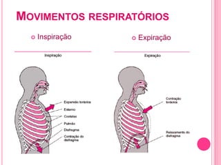 MOVIMENTOS RESPIRATÓRIOS
 Inspiração  Expiração
 