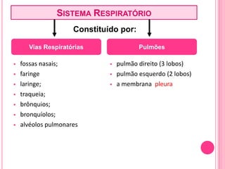  fossas nasais;
 faringe
 laringe;
 traqueia;
 brônquios;
 bronquíolos;
 alvéolos pulmonares
 pulmão direito (3 lobos)
 pulmão esquerdo (2 lobos)
 a membrana pleura
Vias Respiratórias Pulmões
SISTEMA RESPIRATÓRIO
Constituído por:
 