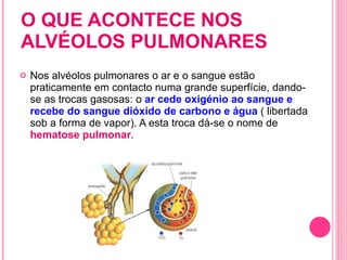 O QUE ACONTECE NOS ALVÉOLOS PULMONARES  Nos alvéolos pulmonares o ar e o sangue estão praticamente em contacto numa grande superfície, dando-se as trocas gasosas: o  ar cede oxigénio ao sangue e recebe do sangue dióxido de carbono e água  ( libertada sob a forma de vapor). A esta troca dá-se o nome de  hematose pulmonar .  