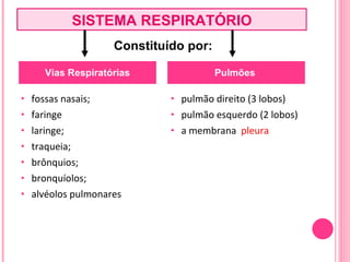 fossas nasais; faringe laringe; traqueia; brônquios; bronquíolos; alvéolos pulmonares pulmão direito (3 lobos) pulmão esquerdo (2 lobos)  a membrana  pleura Vias Respiratórias Pulmões  Constituído por: SISTEMA RESPIRATÓRIO 