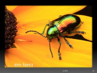 Second Page :
12IL 2010
 