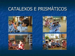 CATALEXOS E PRISMÁTICOS 