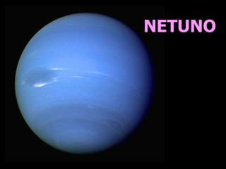 NETUNO
 