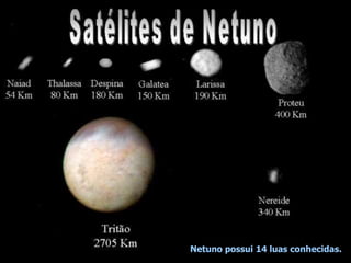 Netuno possui 14 luas conhecidas.
 