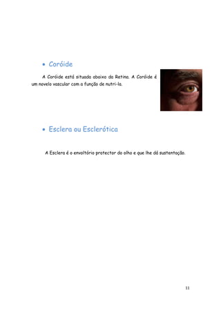 • Coróide
     A Coróide está situada abaixo da Retina. A Coróide é
um novelo vascular com a função de nutri-la.




     • Esclera ou Esclerótica


      A Esclera é o envoltório protector do olho e que lhe dá sustentação.




                                                                             11
 