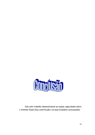 Com este trabalho desenvolvemos as nossas capacidades sobre
o Sistema Visual (Sua constituição e os seus Cuidados e precauções).




                                                                   14
 
