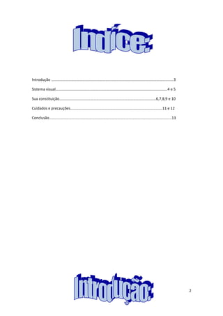 Introdução …………………………………………………………………………………………………………………3

Sistema visual……………………………………………………………………………………………………….4 e 5

Sua constituição…………………………………………………………………………………………6,7,8,9 e 10

Cuidados e precauções…………………………………………………………………………………….11 e 12

Conclusão………………………………………………………………………………………………………………...13




                                                                 2
 
