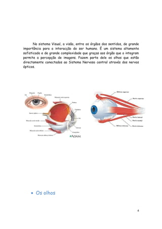 No sistema Visual, a visão, entre os órgãos dos sentidos, de grande
importância para a interacção do ser humano. È um sistema altamente
sofisticado e de grande complexidade que graças aos órgão que o integram
permite a percepção de imagens. Fazem parte dele os olhos que estão
directamente conectados ao Sistema Nervoso central através dos nervos
ópticos.




    • Os olhos


                                                                         4
 