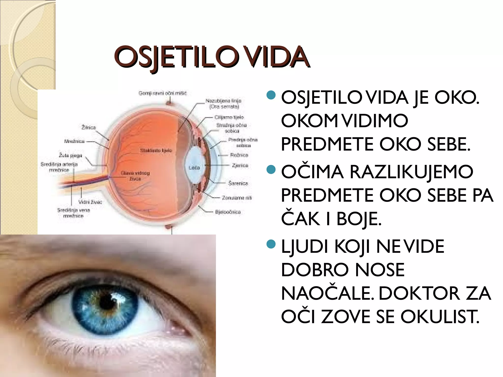 OSJETILOVIDAOSJETILOVIDA
OSJETILOVIDA JE OKO.
OKOMVIDIMO
PREDMETE OKO SEBE.
OČIMA RAZLIKUJEMO
PREDMETE OKO SEBE PA
ČAK I BOJE.
LJUDI KOJI NEVIDE
DOBRO NOSE
NAOČALE. DOKTOR ZA
OČI ZOVE SE OKULIST.
 