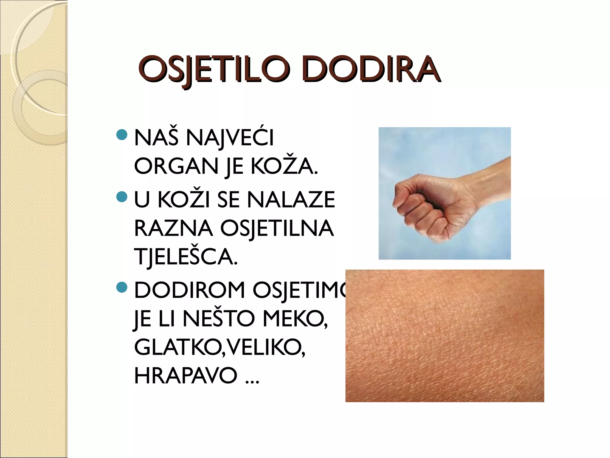 OSJETILO DODIRAOSJETILO DODIRA
NAŠ NAJVEĆI
ORGAN JE KOŽA.
U KOŽI SE NALAZE
RAZNA OSJETILNA
TJELEŠCA.
DODIROM OSJETIMO
JE LI NEŠTO MEKO,
GLATKO,VELIKO,
HRAPAVO ...
 