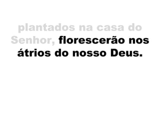 plantados na casa do
Senhor, florescerão nos
átrios do nosso Deus.
 