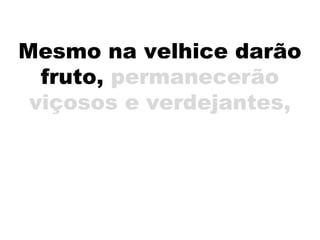 Mesmo na velhice darão
fruto, permanecerão
viçosos e verdejantes,
 