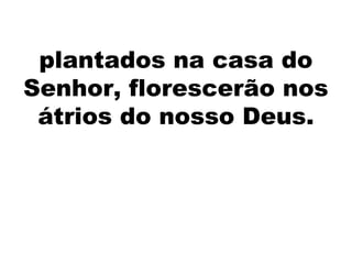 plantados na casa do
Senhor, florescerão nos
átrios do nosso Deus.
 