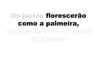 Os justos florescerão
como a palmeira,
crescerão como o cedro
do Líbano;
 