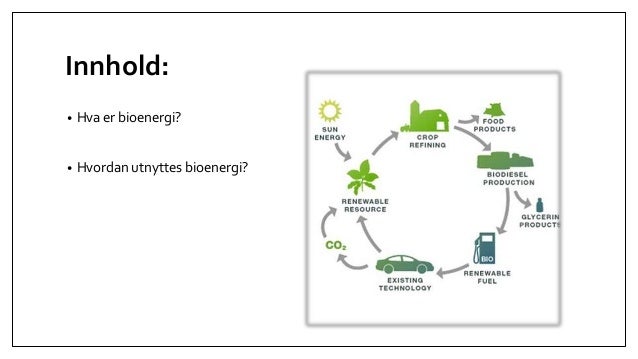 bioenergi
