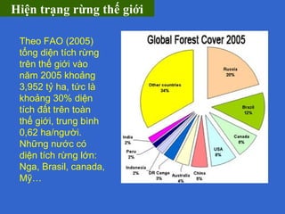 Theo FAO (2005)
tổng diện tích rừng
trên thế giới vào
năm 2005 khoảng
3,952 tỷ ha, tức là
khoảng 30% diện
tích đất trên to...