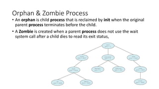 Os lectures | PPTX