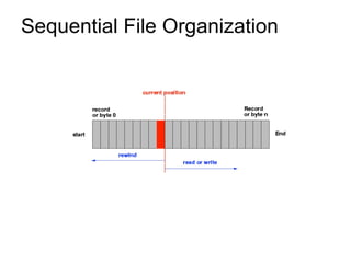 Sequential File Organization
 