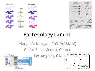 Bacteriology I and II
Margie A. Morgan, PhD D(ABMM)
Cedar-Sinai Medical Center
Los Angeles, CA
 