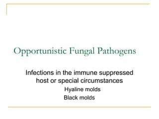 Opportunistic Fungal Pathogens
Infections in the immune suppressed
host or special circumstances
Hyaline molds
Black molds
 