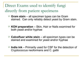 Direct Exams used to identify fungi
directly from patient specimens
 Gram stain – all specimen types can be Gram
stained. Can only reliably detect yeast by Gram stain.
 KOH preparation – Skin, Hair or Nails examined for
both yeast and/or hyphae
 Calcofluor white stain – all specimen types can be
stained and examined for yeast and/or hyphae
 India ink – Primarily used for CSF for the detection of
Cryptococcus neoformans and C. gattii
 
