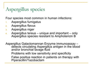 Aspergillus species
Four species most common in human infections:
1. Aspergillus fumigatus
2. Aspergillus flavus
3. Aspergillus niger
4. Aspergillus tereus – unique and important – only
Aspergillus species resistant to Amphotericin B
Aspergillus Galactomannan Enzyme immunoassay –
detects circulating Aspergillus antigen in the blood
and/or bronchial lavage fluid
Problems with low sensitivity and specificity
False positive reaction in patients on therapy with
Piperacillin/Tazobactam
 