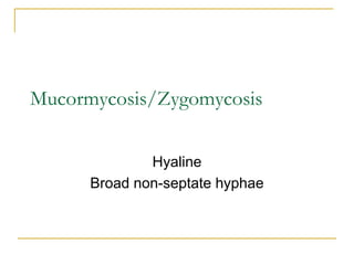 Mucormycosis/Zygomycosis
Hyaline
Broad non-septate hyphae
 