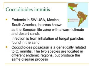 Coccidioides immitis
 Endemic in SW USA, Mexico,
South America, in areas known
as the Sonoran life zone with a warm climate
and desert sands
Infection is from inhalation of fungal particles
found in the sand
 Coccidioides posadasii is a genetically related
to C. immitis. The two species are located in
different endemic regions, but produce the
same disease process
 