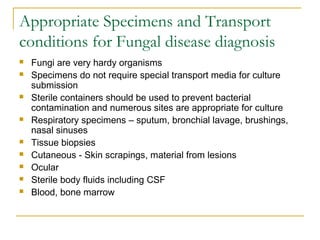 Appropriate Specimens and Transport
conditions for Fungal disease diagnosis
 Fungi are very hardy organisms
 Specimens do not require special transport media for culture
submission
 Sterile containers should be used to prevent bacterial
contamination and numerous sites are appropriate for culture
 Respiratory specimens – sputum, bronchial lavage, brushings,
nasal sinuses
 Tissue biopsies
 Cutaneous - Skin scrapings, material from lesions
 Ocular
 Sterile body fluids including CSF
 Blood, bone marrow
 