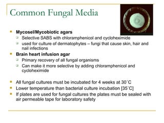 Common Fungal Media
 Mycosel/Mycobiotic agars
 Selective SABS with chloramphenicol and cycloheximide
 used for culture of dermatophytes – fungi that cause skin, hair and
nail infections
 Brain heart infusion agar
 Primary recovery of all fungal organisms
 Can make it more selective by adding chloramphenicol and
cycloheximide
 All fungal cultures must be incubated for 4 weeks at 30˚C
 Lower temperature than bacterial culture incubation [35˚C]
 If plates are used for fungal cultures the plates must be sealed with
air permeable tape for laboratory safety
 