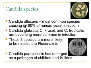 Candida species
 Candida albicans – most common species
causing @ 60% of human yeast infections
 Candida glabrata, C. krusei, and C. tropicalis
are becoming more common in infection
 These 3 species are more likely
to be resistant to Fluconazole
 Candida parapsilosis has emerged
as a pathogen of children and IV lines
 