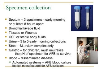 Specimen collection











Sputum – 3 specimens - early morning
or at least 8 hours apart
Bronchial lavage flu...