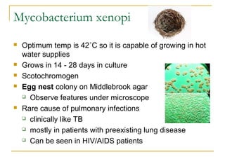 Mycobacterium xenopi








Optimum temp is 42˚C so it is capable of growing in hot
water supplies
Grows in 14 - 28 ...