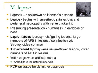 M. leprae











Leprosy – also known as Hansen’s disease
Leprosy begins with anesthetic skin lesions and
periph...