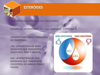 SÃO LIPÍDIOS DERIVADOS DO COLESTEROL.
EXEMPLOS: HORMÔNIOS SEXUAIS, CORTISOL, VITAMINA D.
LIPOPROTEÍNAS TRANSPORTADORAS
DE COLESTEROL:
LDL: LIPOPROTEINA DE BAIXA
DENSIDADE QUE TRANSPORTA
COLESTEROL PARA O SANGUE;
HDL: LIPOPROTEÍNA DE ALTA
DENSIDADE QUE TRANSPORTA
COLESTEROL DO SANGUE PARA O
FÍGADO.
 