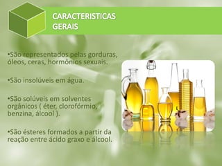 •São representados pelas gorduras,
óleos, ceras, hormônios sexuais.
•São insolúveis em água.
•São solúveis em solventes
orgânicos ( éter, clorofórmio,
benzina, álcool ).
•São ésteres formados a partir da
reação entre ácido graxo e álcool.
 