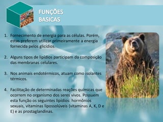 1. Fornecimento de energia para as células. Porém,
estas preferem utilizar primeiramente a energia
fornecida pelos glicídios.
2. Alguns tipos de lipídios participam da composição
das membranas celulares.
3. Nos animais endotérmicos, atuam como isolantes
térmicos.
4. Facilitação de determinadas reações químicas que
ocorrem no organismo dos seres vivos. Possuem
esta função os seguintes lipídios: hormônios
sexuais, vitaminas lipossolúveis (vitaminas A, K, D e
E) e as prostaglandinas.
 