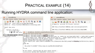 PRACTICAL EXAMPLE (14)
Running HYDRA command line application:
 