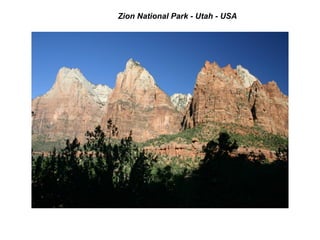 Zion National Park - Utah - USA
 
