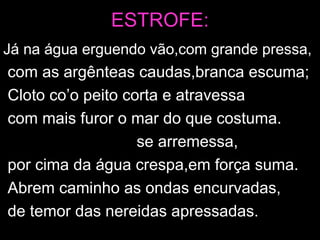 ESTROFE: Já na água erguendo vão,com grande pressa, com as argênteas caudas,branca escuma; Cloto co’o peito corta e atravessa  com mais furor o mar do que costuma. Salta Nise,Nerine  se arremessa, por cima da água crespa,em força suma. Abrem caminho as ondas encurvadas, de temor das nereidas apressadas. 