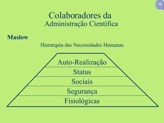 Colaboradores da  Administração Cientifica Maslow Hierarquia das Necessidades Humanas Auto-Realização Status Sociais Segurança Fisiológicas Q 